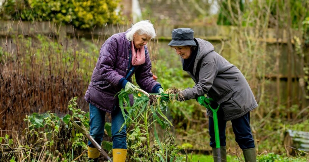 3 Tips For Caring For Your Garden With Limited Mobility